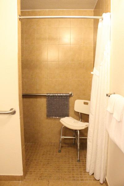 ADA Guestroom Roll-in Shower